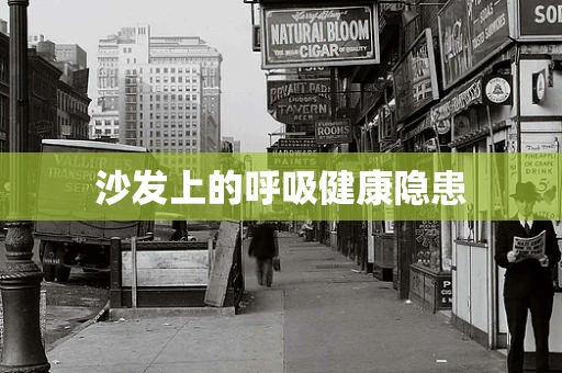 沙发上的呼吸健康隐患