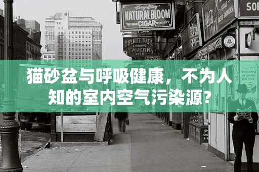 猫砂盆与呼吸健康，不为人知的室内空气污染源？