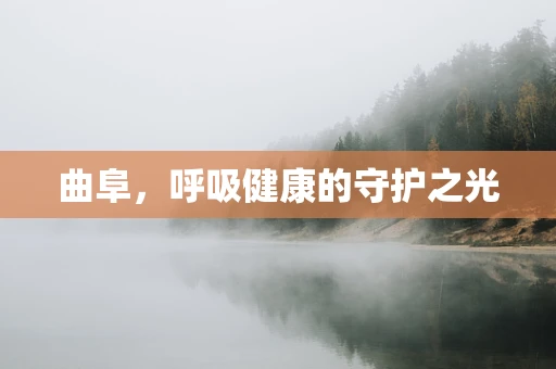 曲阜，呼吸健康的守护之光