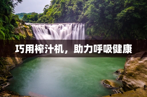 巧用榨汁机，助力呼吸健康