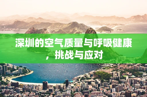 深圳的空气质量与呼吸健康，挑战与应对