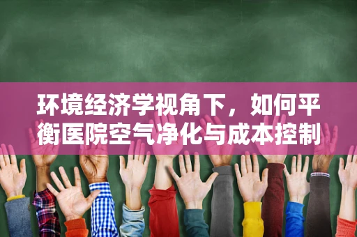 环境经济学视角下，如何平衡医院空气净化与成本控制？