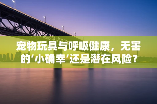 宠物玩具与呼吸健康，无害的‘小确幸’还是潜在风险？