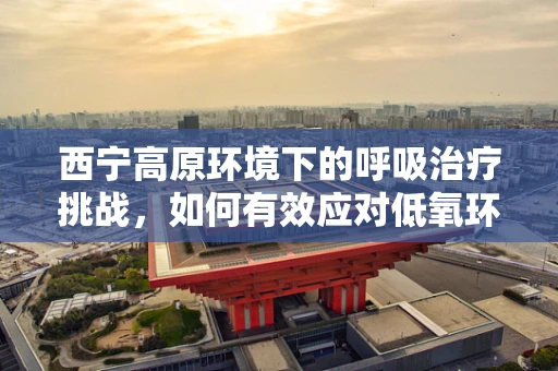 西宁高原环境下的呼吸治疗挑战，如何有效应对低氧环境？