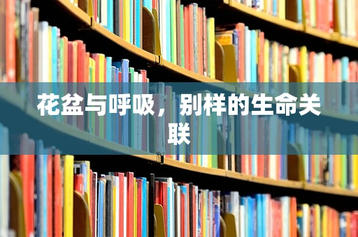 花盆与呼吸，别样的生命关联