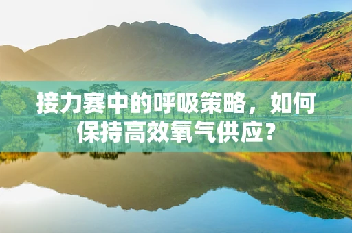 接力赛中的呼吸策略，如何保持高效氧气供应？