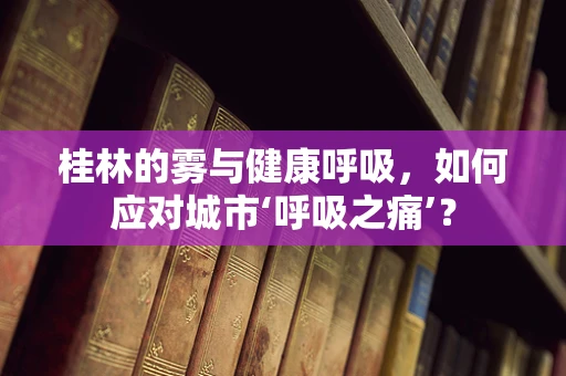 桂林的雾与健康呼吸，如何应对城市‘呼吸之痛’？