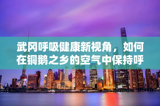 武冈呼吸健康新视角，如何在铜鹅之乡的空气中保持呼吸自由？