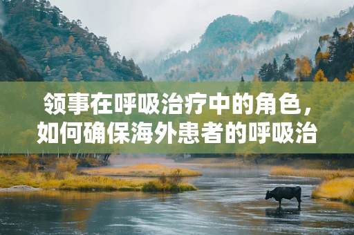 领事在呼吸治疗中的角色，如何确保海外患者的呼吸治疗连续性？