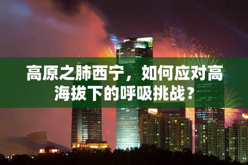 高原之肺西宁，如何应对高海拔下的呼吸挑战？