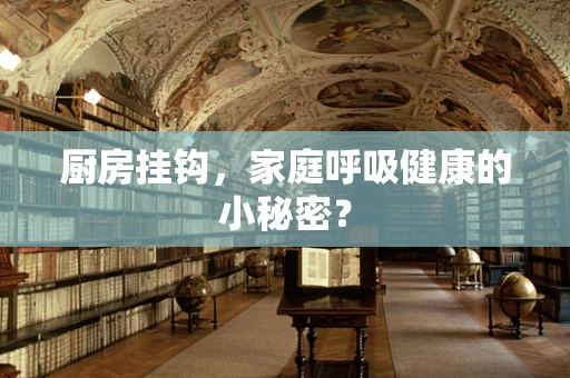 厨房挂钩，家庭呼吸健康的小秘密？