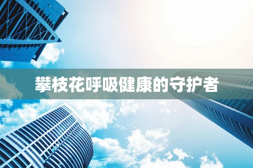 攀枝花呼吸健康的守护者