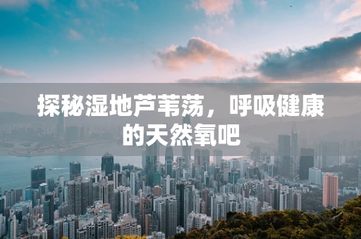 探秘湿地芦苇荡，呼吸健康的天然氧吧