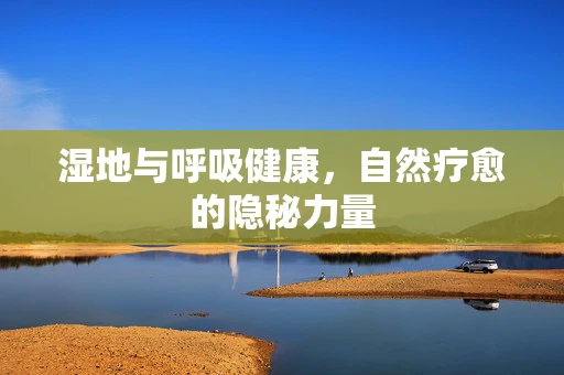 湿地与呼吸健康，自然疗愈的隐秘力量