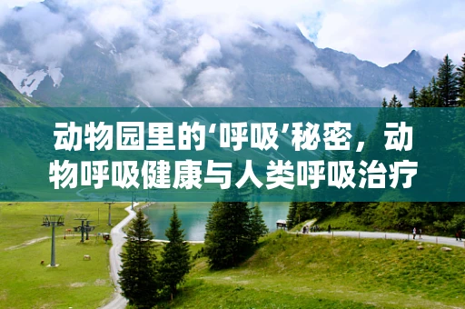 动物园里的‘呼吸’秘密，动物呼吸健康与人类呼吸治疗的异曲同工