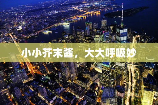 小小芥末酱，大大呼吸妙
