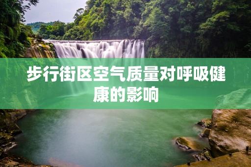 步行街区空气质量对呼吸健康的影响
