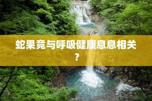 蛇果竟与呼吸健康息息相关？