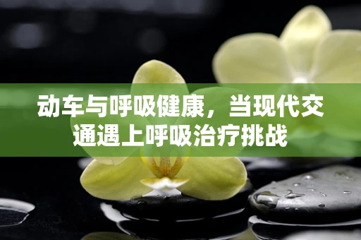 动车与呼吸健康，当现代交通遇上呼吸治疗挑战