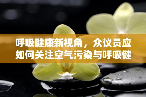 呼吸健康新视角，众议员应如何关注空气污染与呼吸健康？