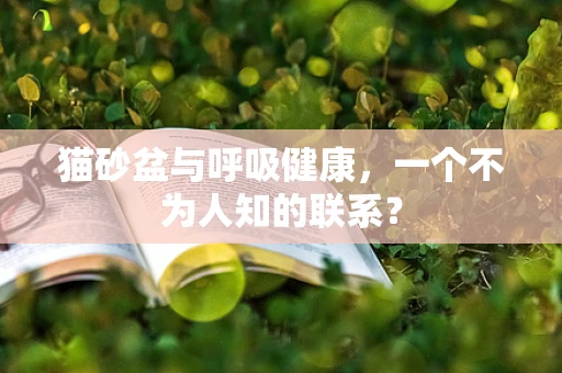 猫砂盆与呼吸健康，一个不为人知的联系？