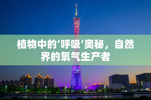 植物中的‘呼吸’奥秘，自然界的氧气生产者