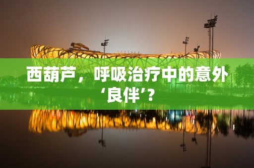 西葫芦，呼吸治疗中的意外‘良伴’？