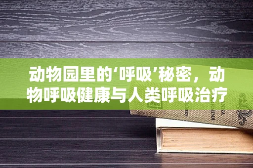 动物园里的‘呼吸’秘密，动物呼吸健康与人类呼吸治疗的异同