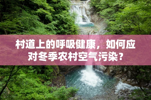 村道上的呼吸健康，如何应对冬季农村空气污染？