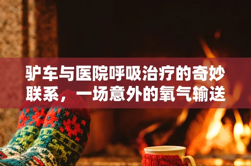 驴车与医院呼吸治疗的奇妙联系，一场意外的氧气输送