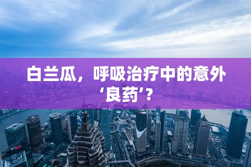 白兰瓜，呼吸治疗中的意外‘良药’？