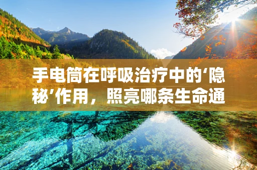 手电筒在呼吸治疗中的‘隐秘’作用，照亮哪条生命通道？