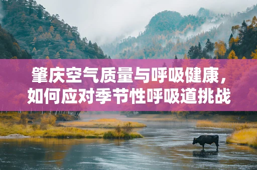 肇庆空气质量与呼吸健康，如何应对季节性呼吸道挑战？