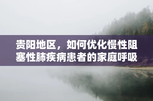 贵阳地区，如何优化慢性阻塞性肺疾病患者的家庭呼吸治疗环境？