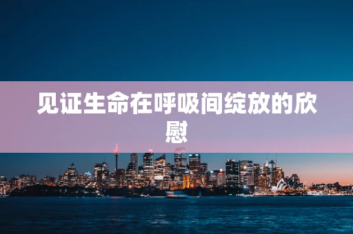 见证生命在呼吸间绽放的欣慰