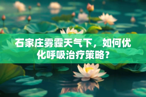 石家庄雾霾天气下，如何优化呼吸治疗策略？