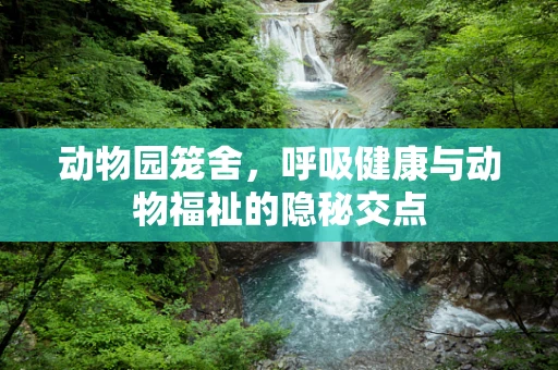 动物园笼舍，呼吸健康与动物福祉的隐秘交点