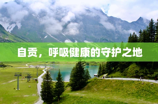自贡，呼吸健康的守护之地