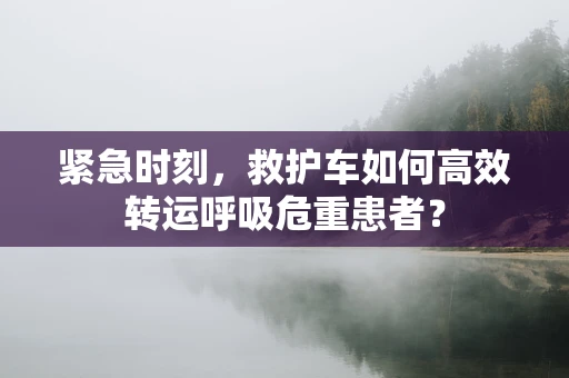 紧急时刻，救护车如何高效转运呼吸危重患者？