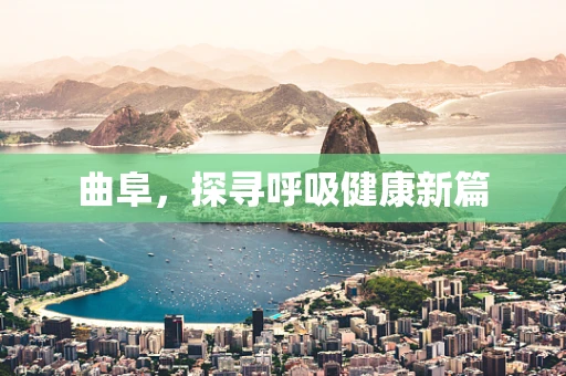 曲阜，探寻呼吸健康新篇
