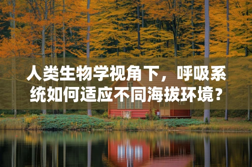 人类生物学视角下，呼吸系统如何适应不同海拔环境？