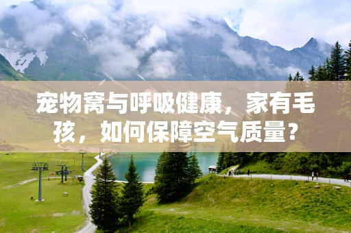 宠物窝与呼吸健康，家有毛孩，如何保障空气质量？
