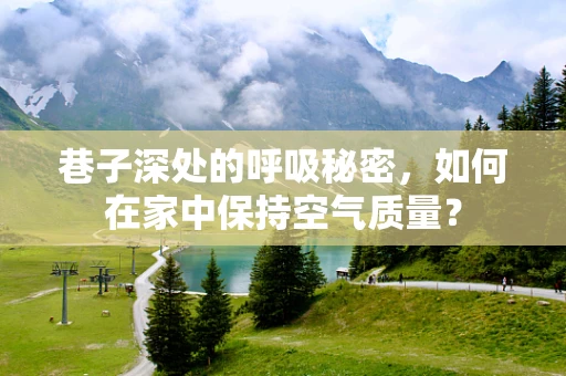 巷子深处的呼吸秘密，如何在家中保持空气质量？