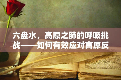 六盘水，高原之肺的呼吸挑战——如何有效应对高原反应下的呼吸治疗？