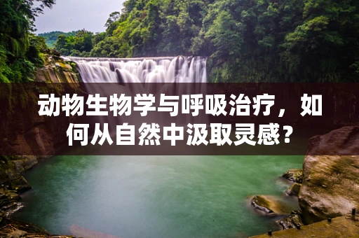 动物生物学与呼吸治疗，如何从自然中汲取灵感？