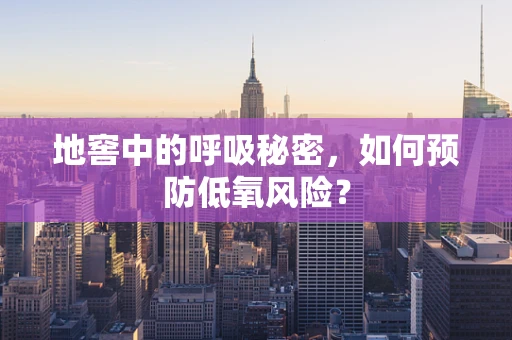 地窖中的呼吸秘密，如何预防低氧风险？