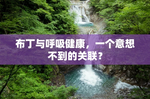 布丁与呼吸健康，一个意想不到的关联？