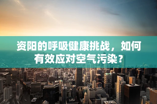 资阳的呼吸健康挑战，如何有效应对空气污染？