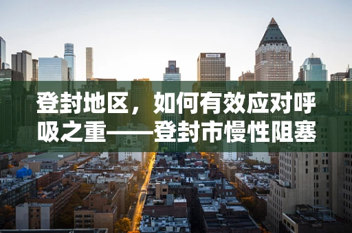 登封地区，如何有效应对呼吸之重——登封市慢性阻塞性肺疾病的管理与挑战