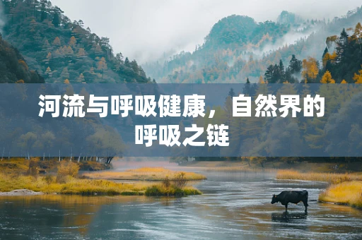 河流与呼吸健康，自然界的呼吸之链